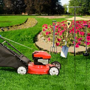 Featured Destination